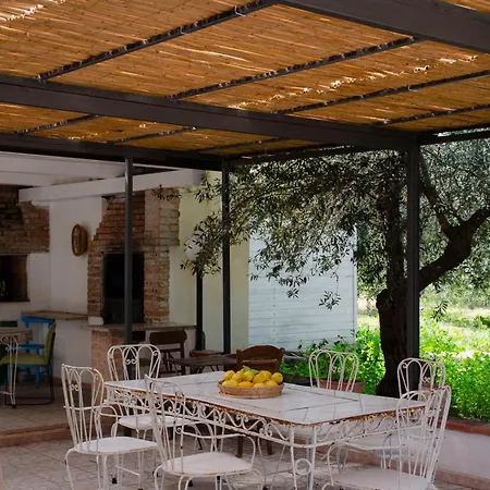 Uliveto Nonno Giacomo Tatil Evi